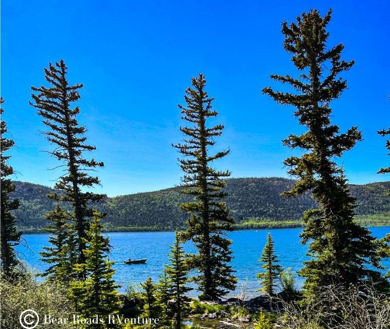 Fishlake National Forest
