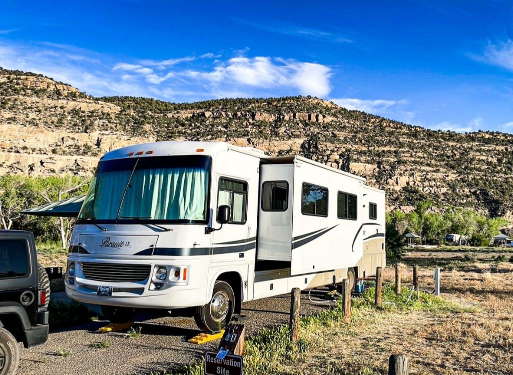 George in Cottonwood Campground