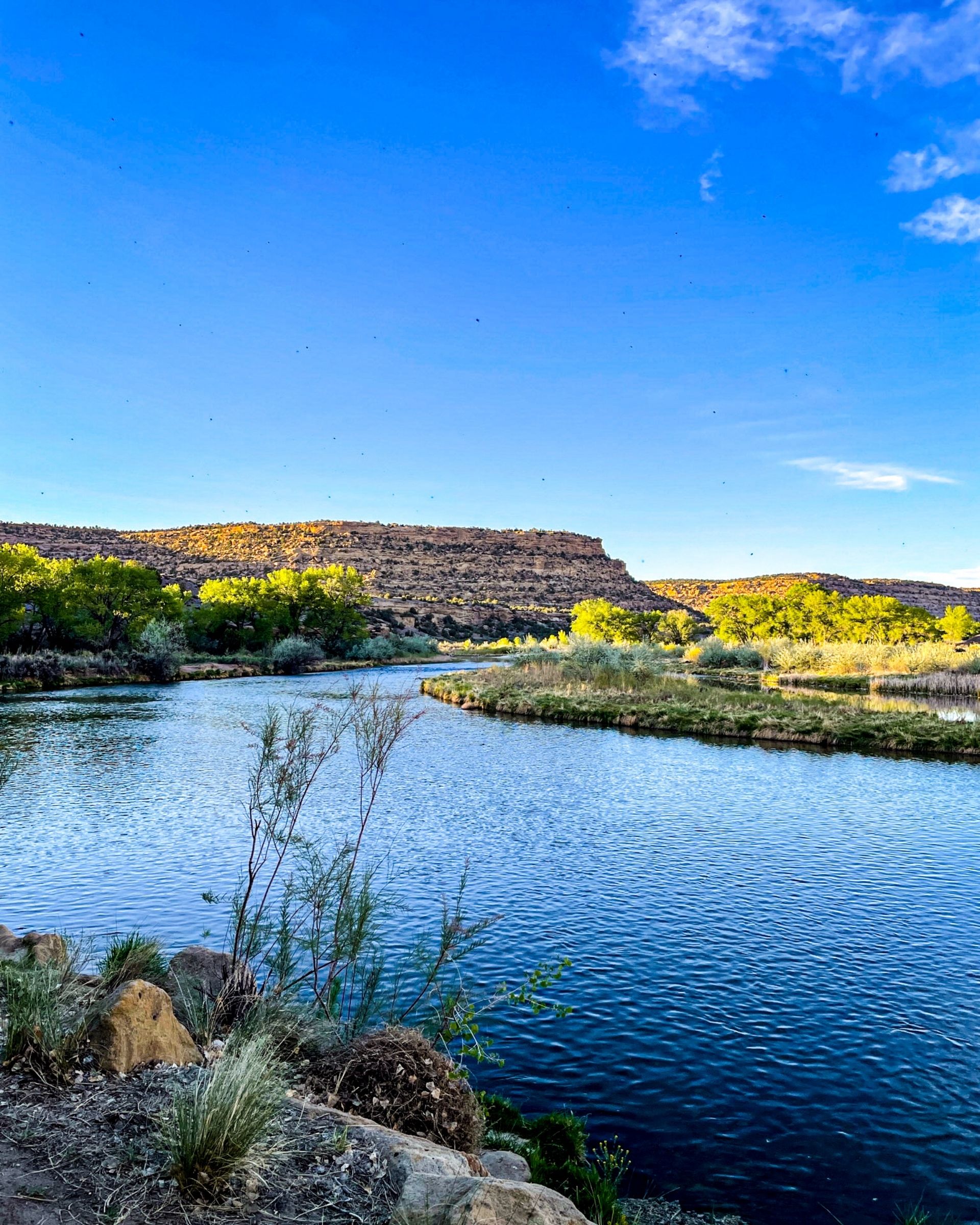 San Juan River Navajo Lake State Park